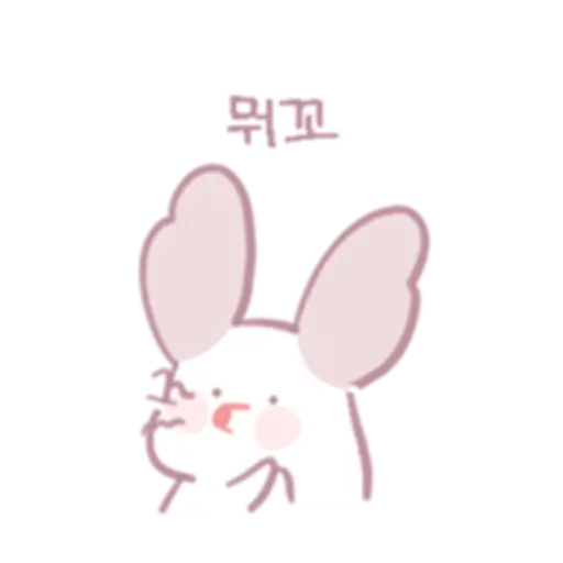 Chinchillas dont know a lot 