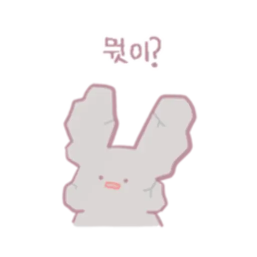 Chinchillas dont know a lot 