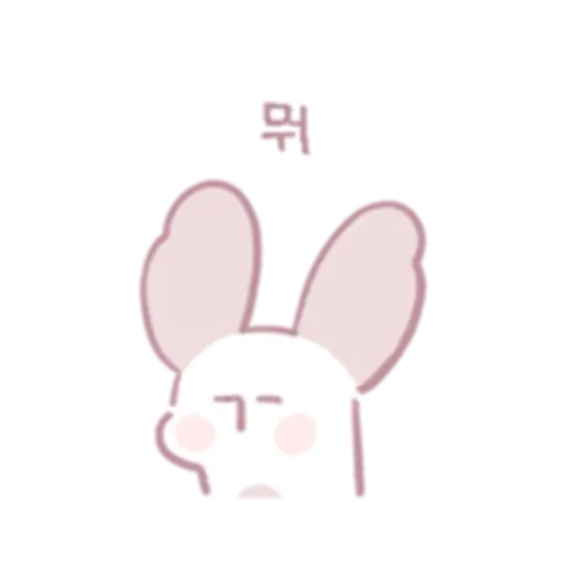 Chinchillas dont know a lot 