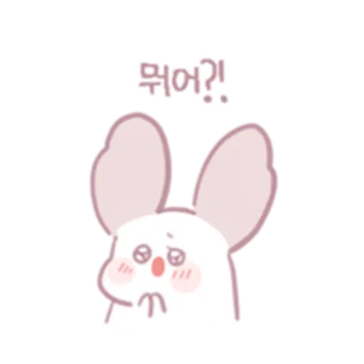Chinchillas dont know a lot 