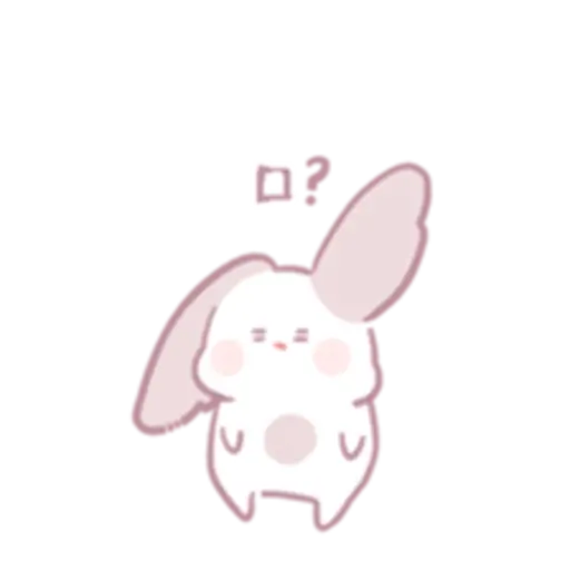 Chinchillas dont know a lot 