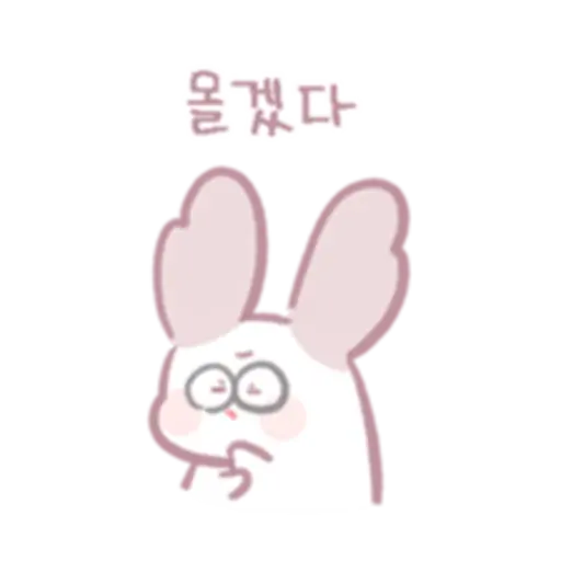Chinchillas dont know a lot 