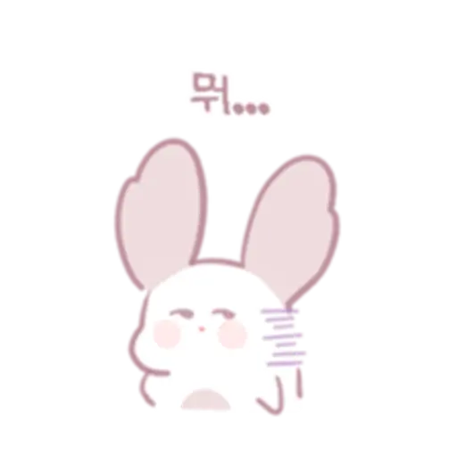 Chinchillas dont know a lot 