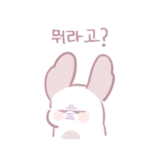 Chinchillas dont know a lot 