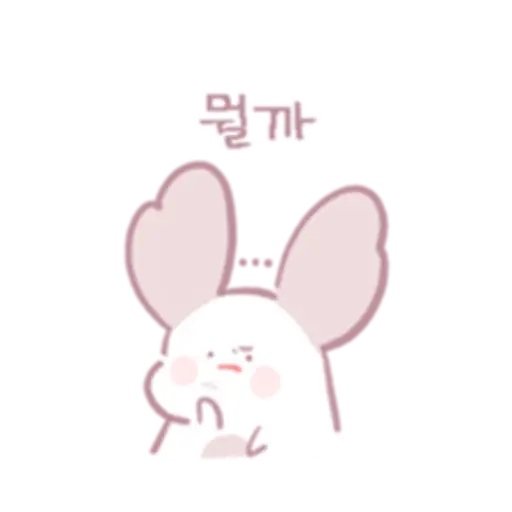 Chinchillas dont know a lot 
