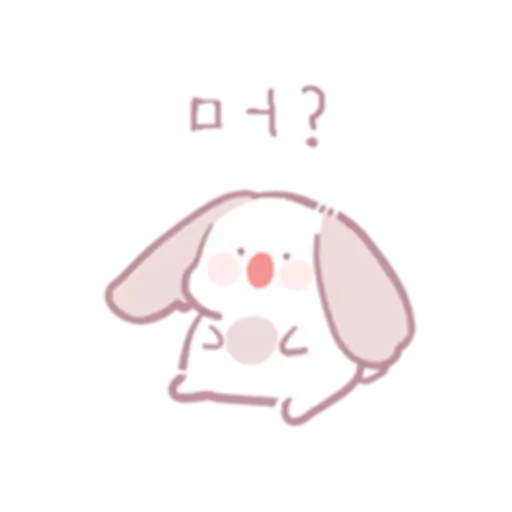 Chinchillas dont know a lot 