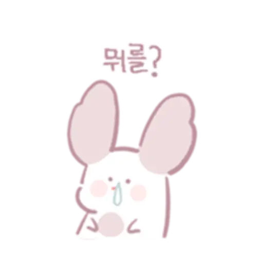 Chinchillas dont know a lot 