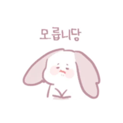 Chinchillas dont know a lot 