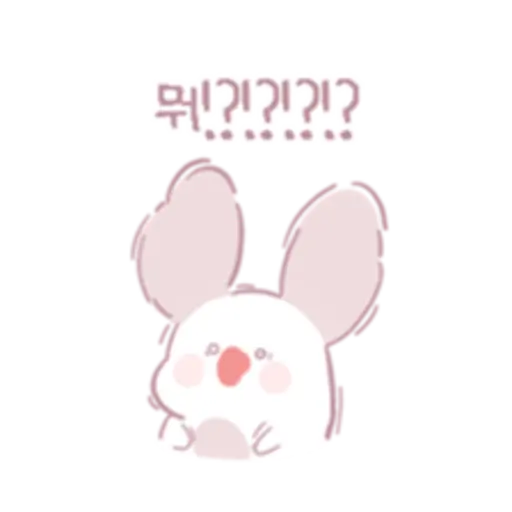 Chinchillas dont know a lot 