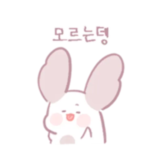 Chinchillas dont know a lot 