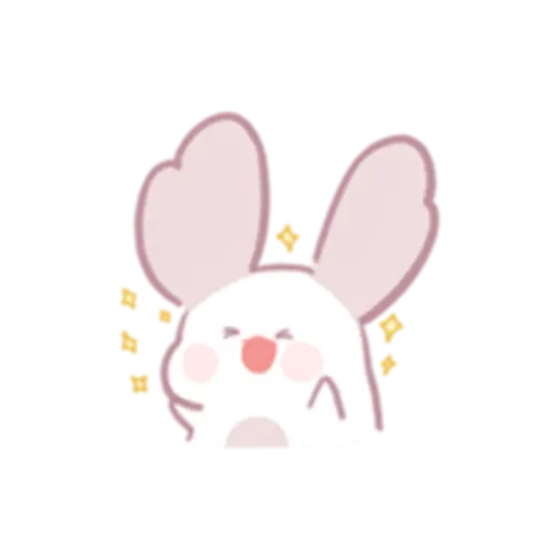 Chinchillas dont know a lot 