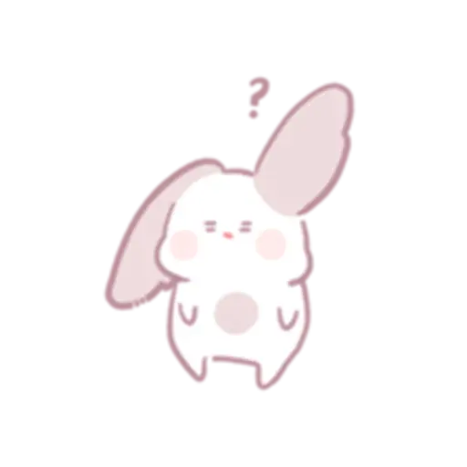 Chinchilla as cute as a puppy 