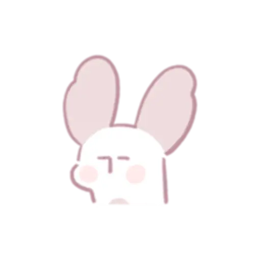 Chinchilla as cute as a puppy 