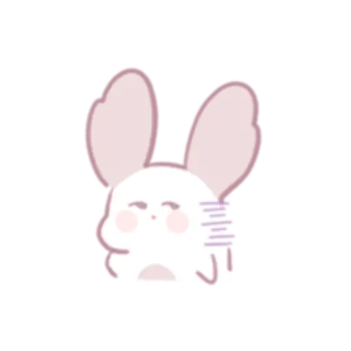 Chinchilla as cute as a puppy 