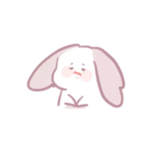 Chinchilla as cute as a puppy 