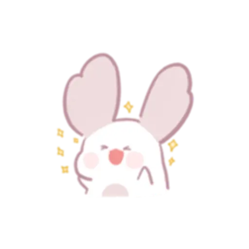 Chinchilla as cute as a puppy 