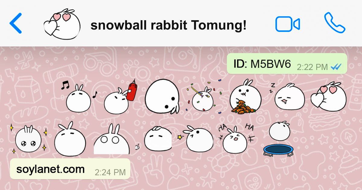 snowball rabbit Tomung! | Stickers para WhatsApp