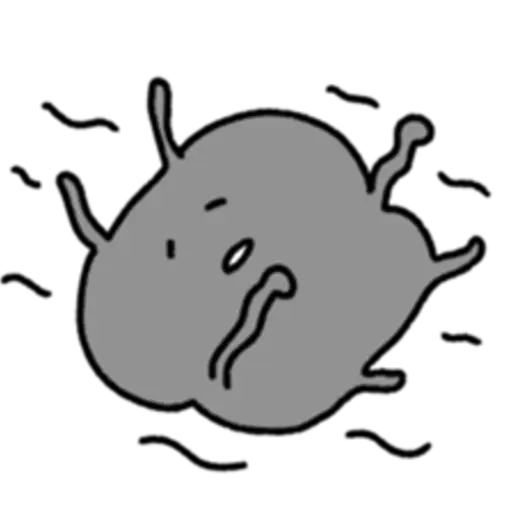 Korean ants win 