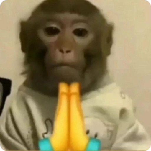 Monos Divertidos