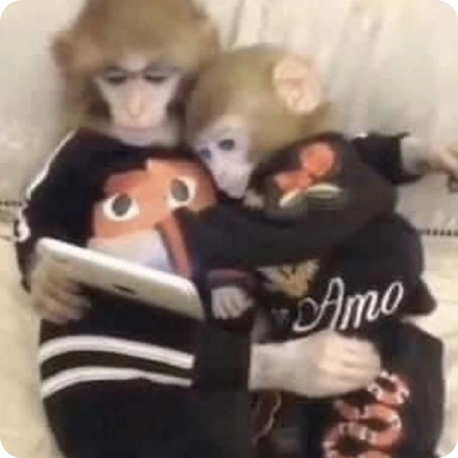 Monos Divertidos