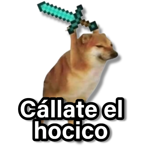 Memes que necesitas