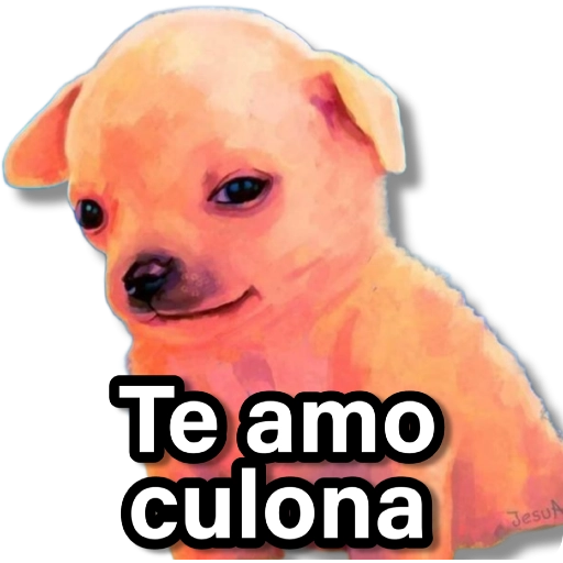 Memes que necesitas