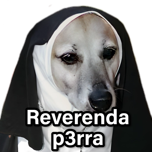 Memes que necesitas