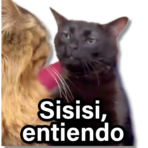 Memes que necesitas