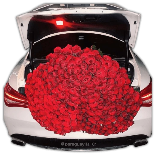 Ramo Buchón 🌹💐