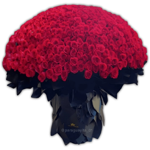 Ramo Buchón 🌹💐