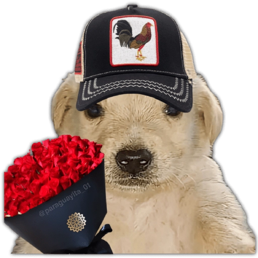 Ramo Buchón 🌹💐