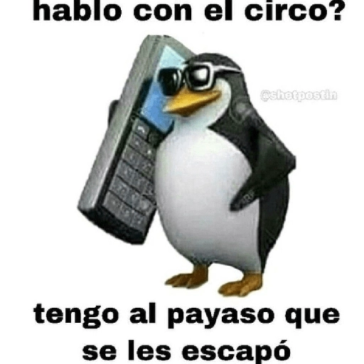 Memes para responder 🤪