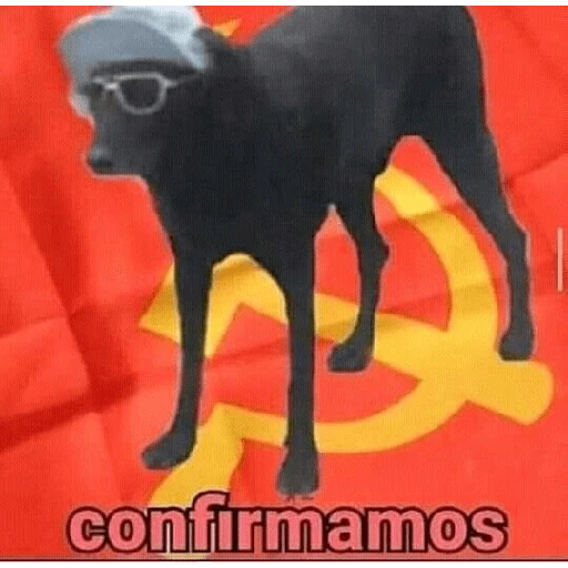 Memes para responder 🤪 preview