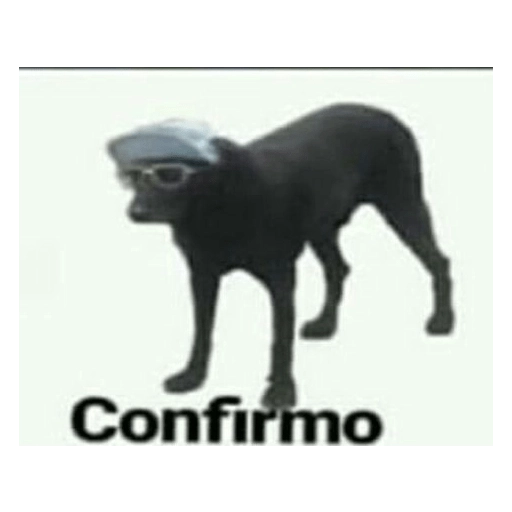 Memes para responder 🤪