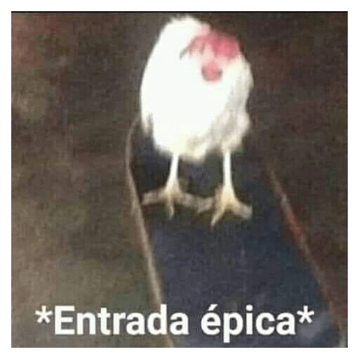 Memes para responder 🤪 preview