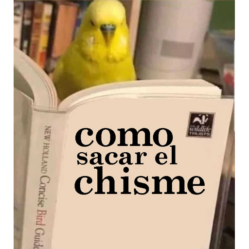 CHISME TIME preview