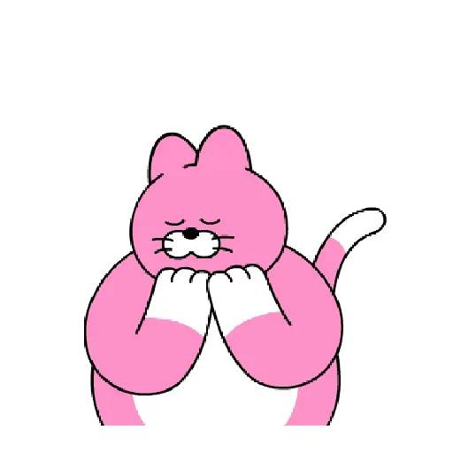 Fav Cat Pingo y sus amigos 🤗