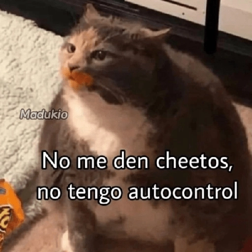 Memes Respuestas 2