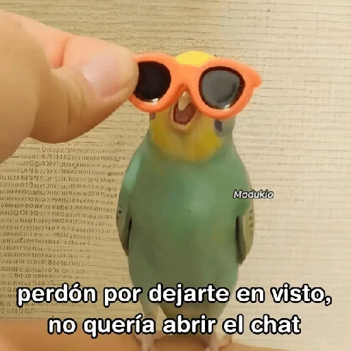 Memes Respuestas 2