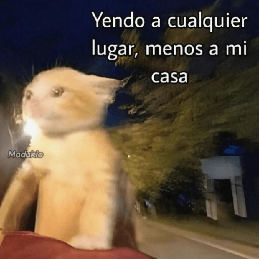 Memes Respuestas 2