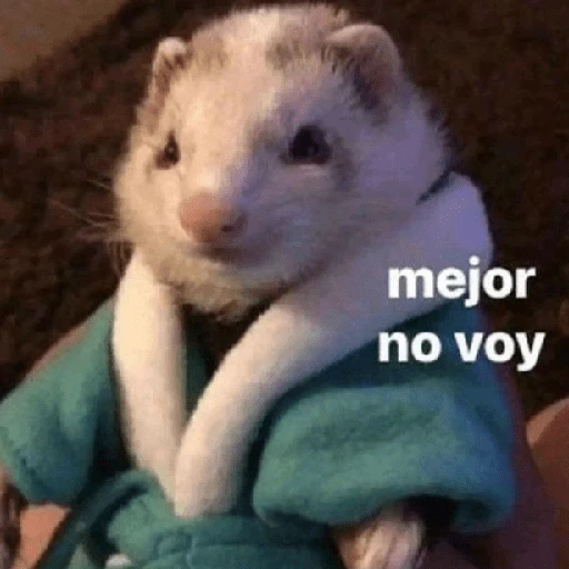 Memes Respuestas 2