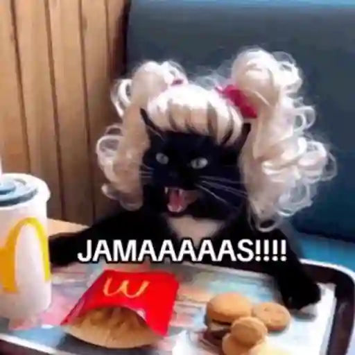 JAMÁS JAMÁS 😡
