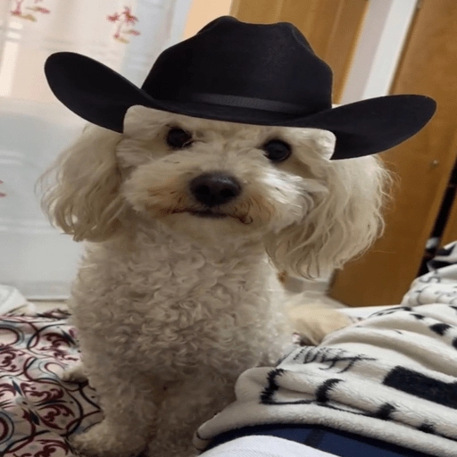 Mami, soy tu vaquero 🤠
