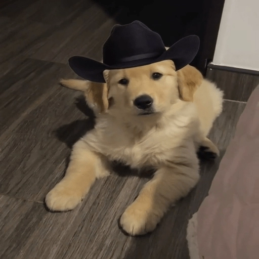 Mami, soy tu vaquero 🤠