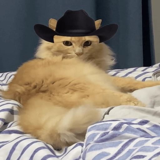 Mami, soy tu vaquero 🤠