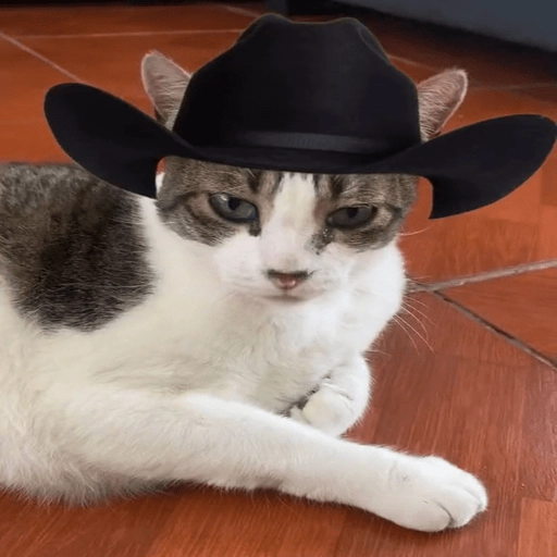 Mami, soy tu vaquero 🤠