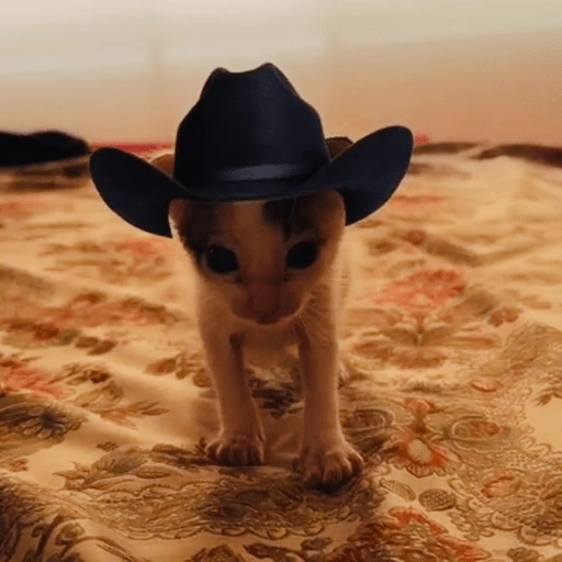Mami, soy tu vaquero 🤠