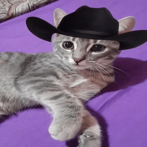 Mami, soy tu vaquero 🤠 preview