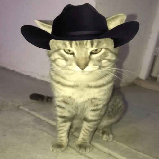 Mami, soy tu vaquero 🤠