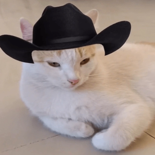 Mami, soy tu vaquero 🤠